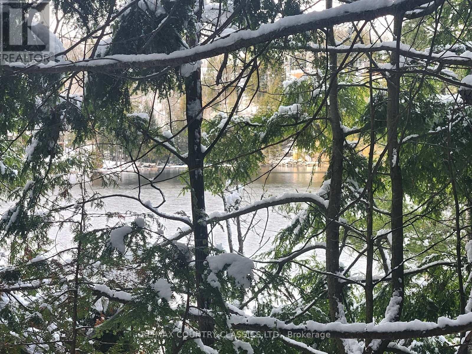 34 Kingfisher Lane, North Kawartha, Ontario  K0L 1A0 - Photo 10 - X12594374