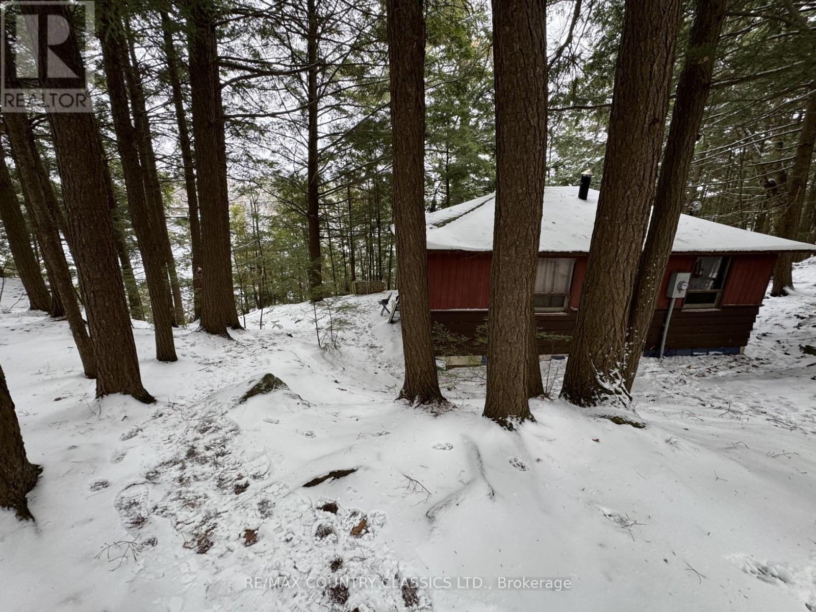 34 Kingfisher Lane, North Kawartha, Ontario  K0L 1A0 - Photo 2 - X12594374