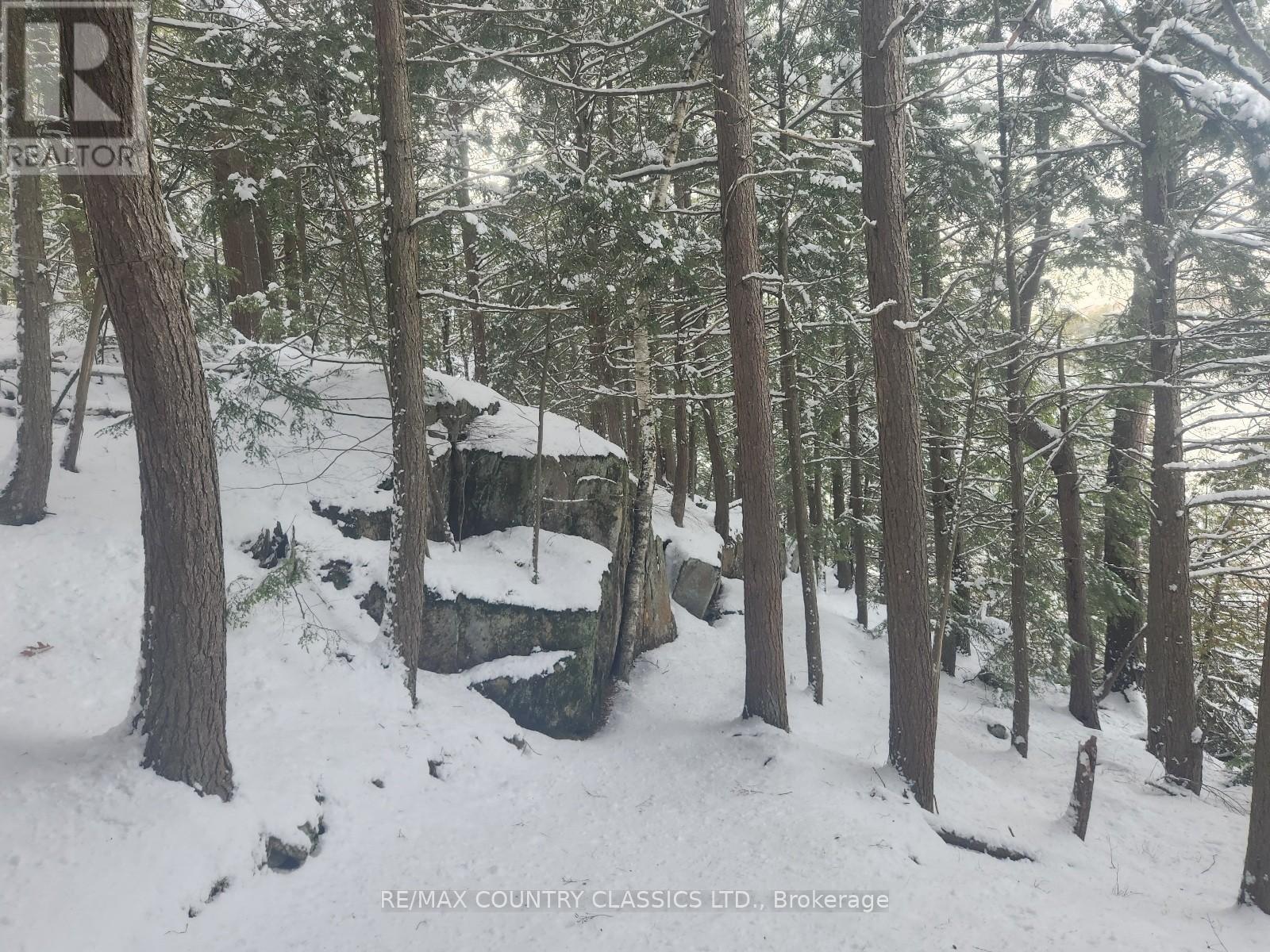 34 Kingfisher Lane, North Kawartha, Ontario  K0L 1A0 - Photo 8 - X12594374