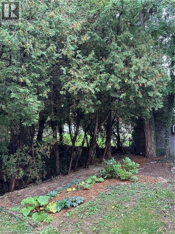 147 Cline Avenue S, Hamilton, Ontario  L8S 1X3 - Photo 23 - 40773468