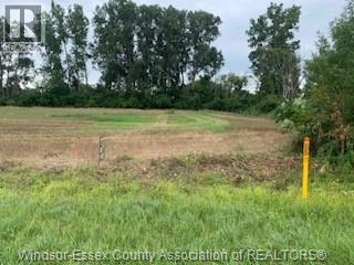V/l Middle Sideroad, Amherstburg, Ontario N9V 2Y9 - Photo 2 - 25030968