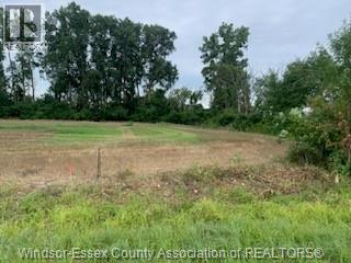 V/l Middle Sideroad, Amherstburg, Ontario N9V 2Y9 - Photo 3 - 25030968