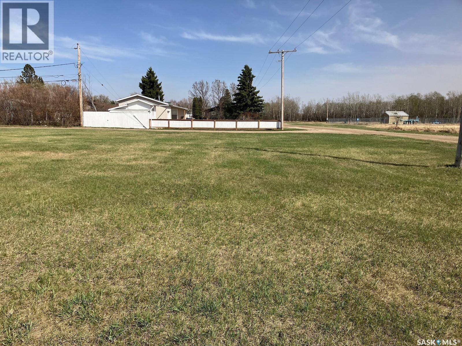 1223 3rd Street W, Nipawin, Saskatchewan  S0E 1E0 - Photo 4 - SK024942