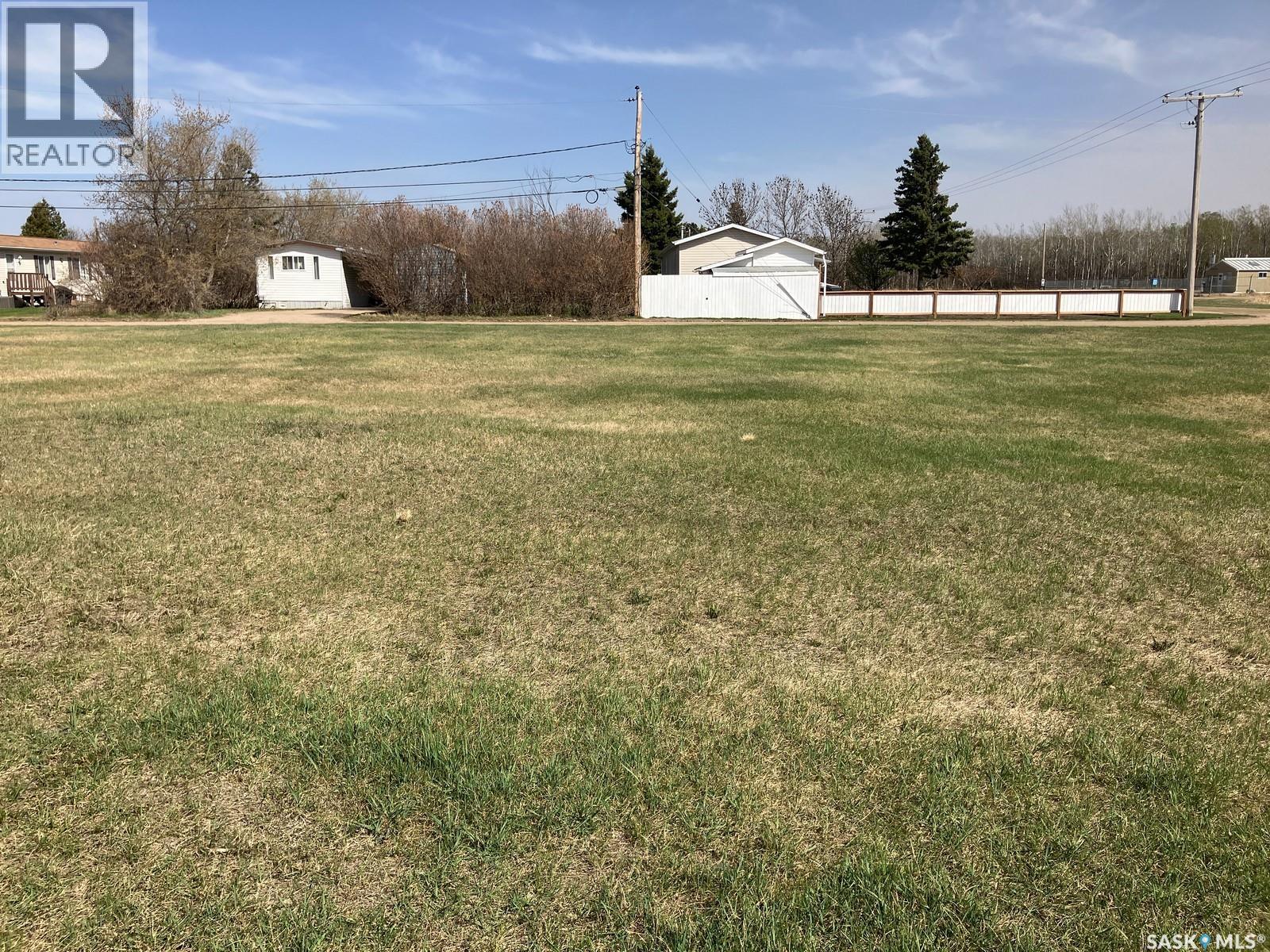 1221 3rd Street W, Nipawin, Saskatchewan  S0E 1E0 - Photo 3 - SK024941
