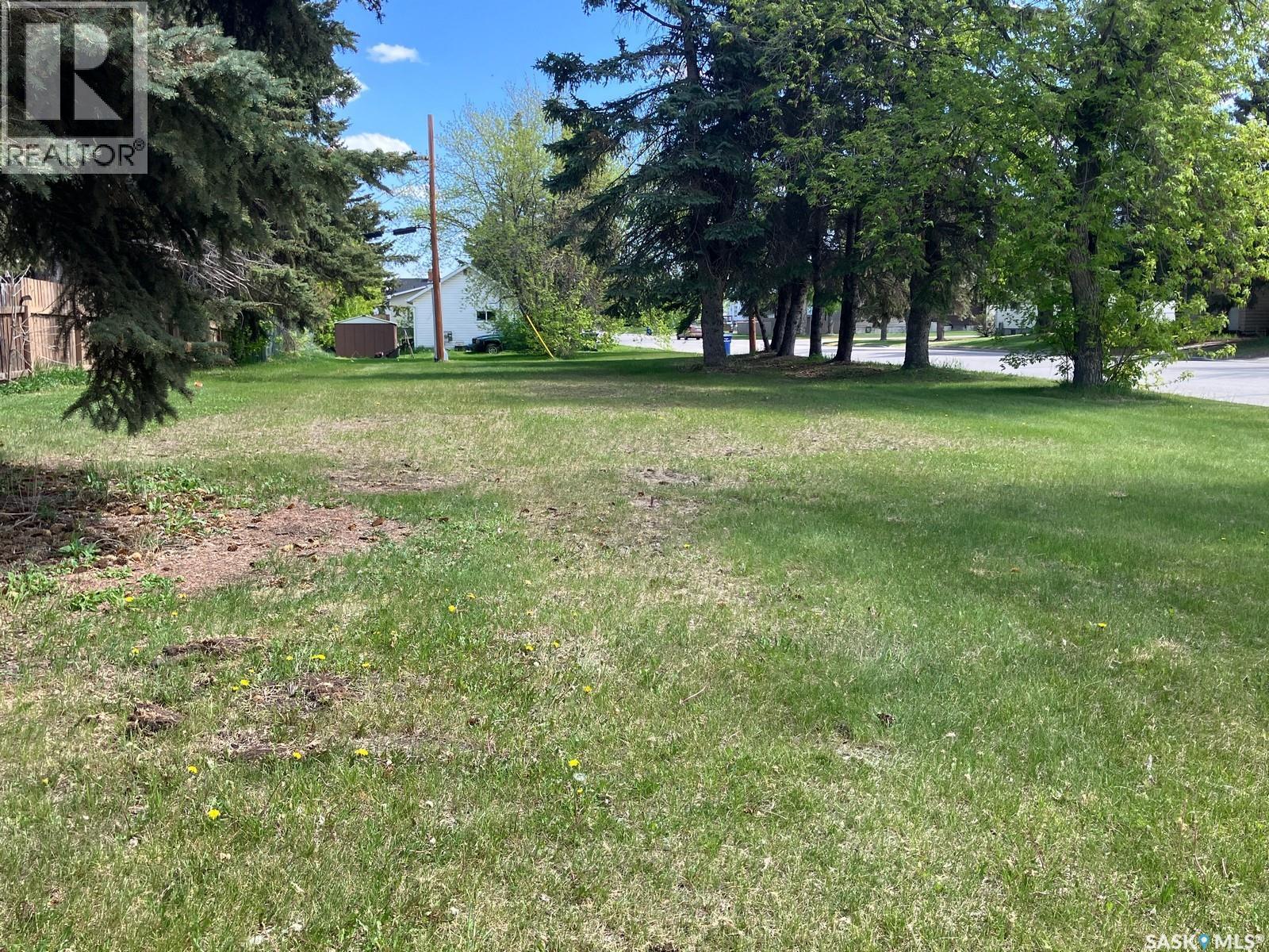 911 7th Street W, Nipawin, Saskatchewan  S0E 1E0 - Photo 3 - SK024938