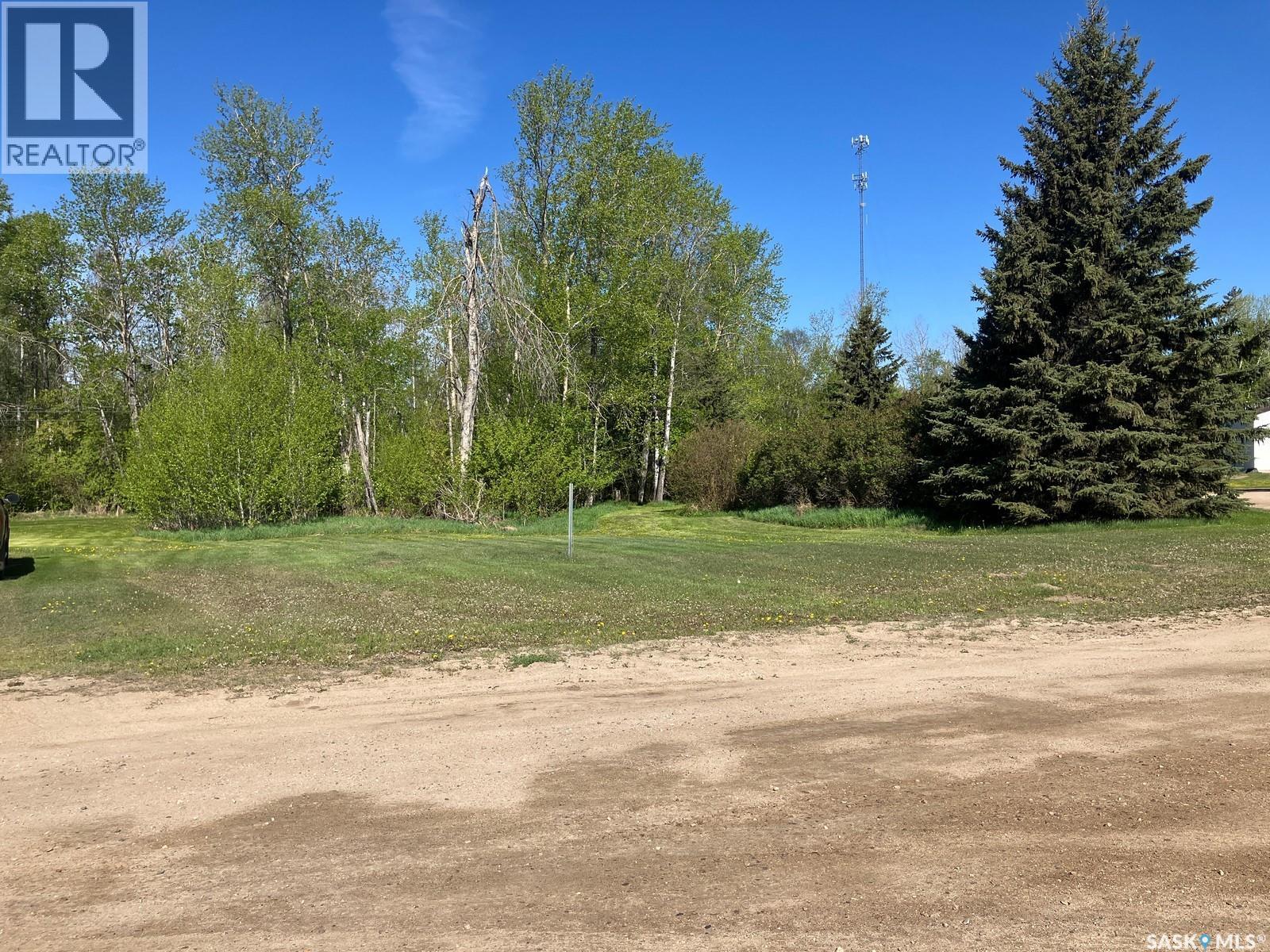 120 Seymour Street, Nipawin, Saskatchewan  S0E 1E0 - Photo 3 - SK024931