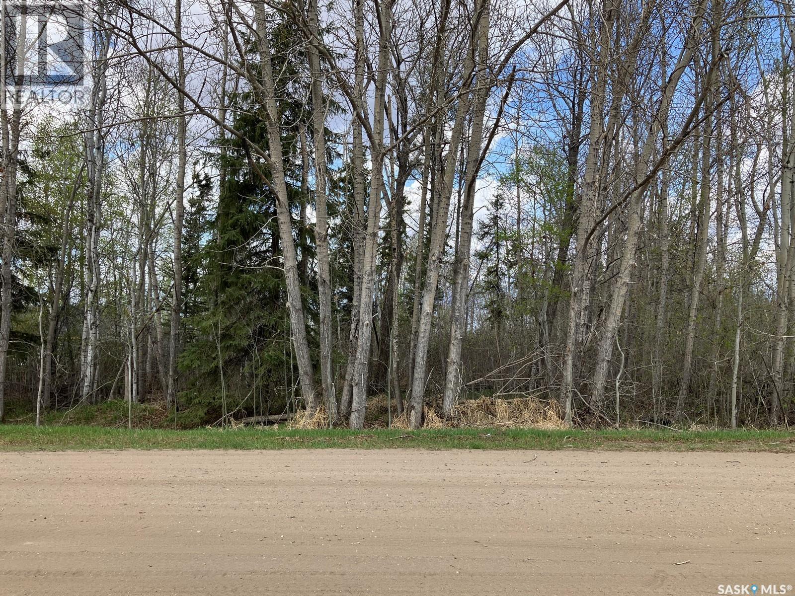 105 Spruce AVENUE W, nipawin, Saskatchewan