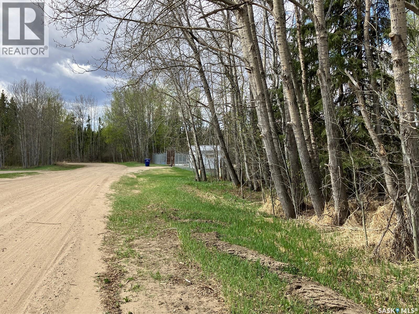 105 Spruce Avenue W, Nipawin, Saskatchewan  S0E 1E0 - Photo 3 - SK024928