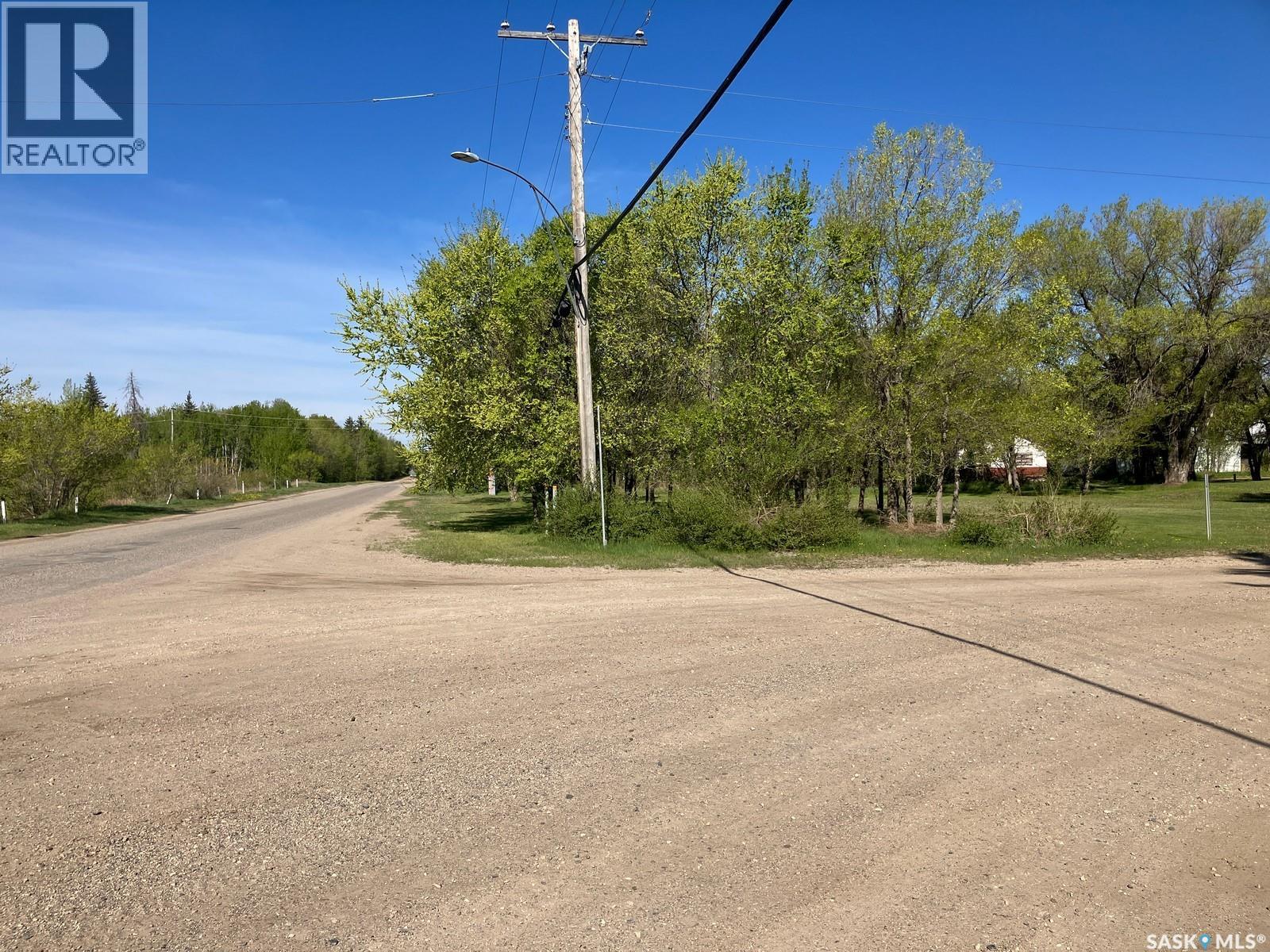 100-104 Princess Street, Nipawin, Saskatchewan  S0E 1E0 - Photo 4 - SK024927