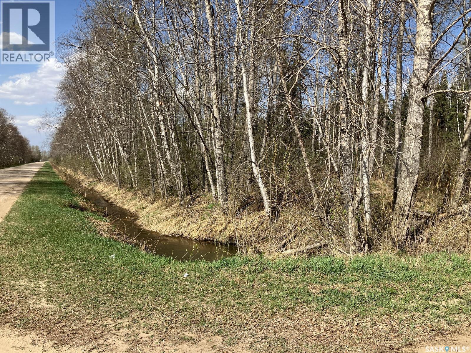 1 W Tamarac Avenue, Nipawin, Saskatchewan  S0E 1E0 - Photo 4 - SK024926