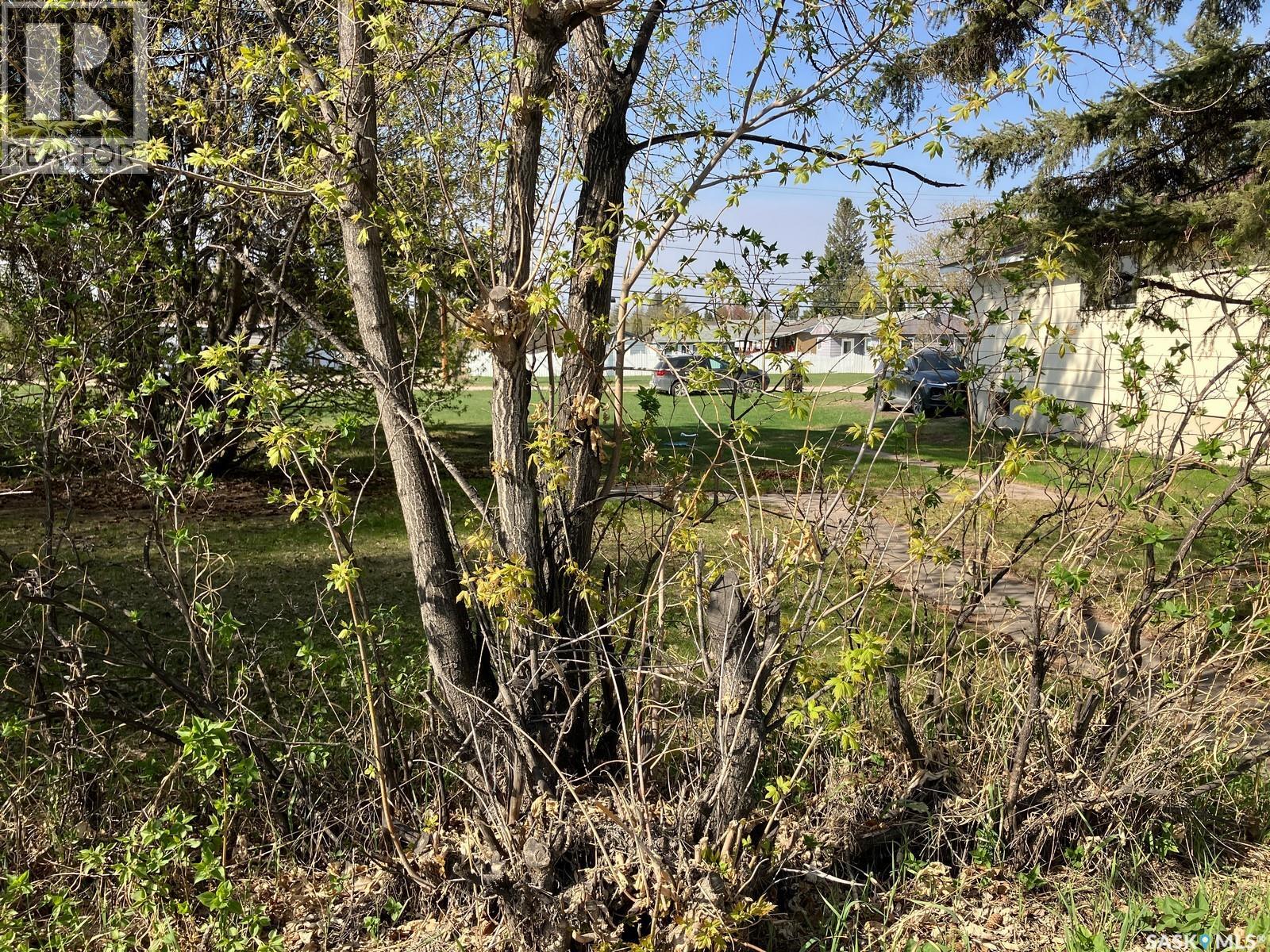 307 Nipawin Road E, Nipawin, Saskatchewan  S0E 1E0 - Photo 4 - SK024923