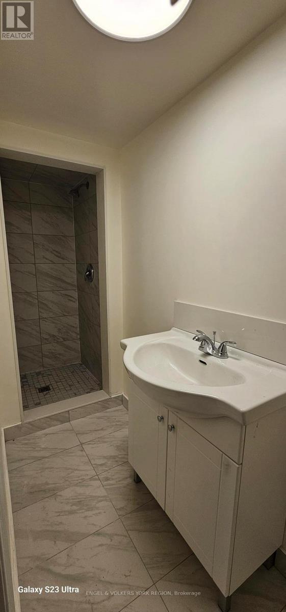 B - 46 Walter Avenue S, Newmarket, Ontario  L3Y 3P7 - Photo 6 - N12582640