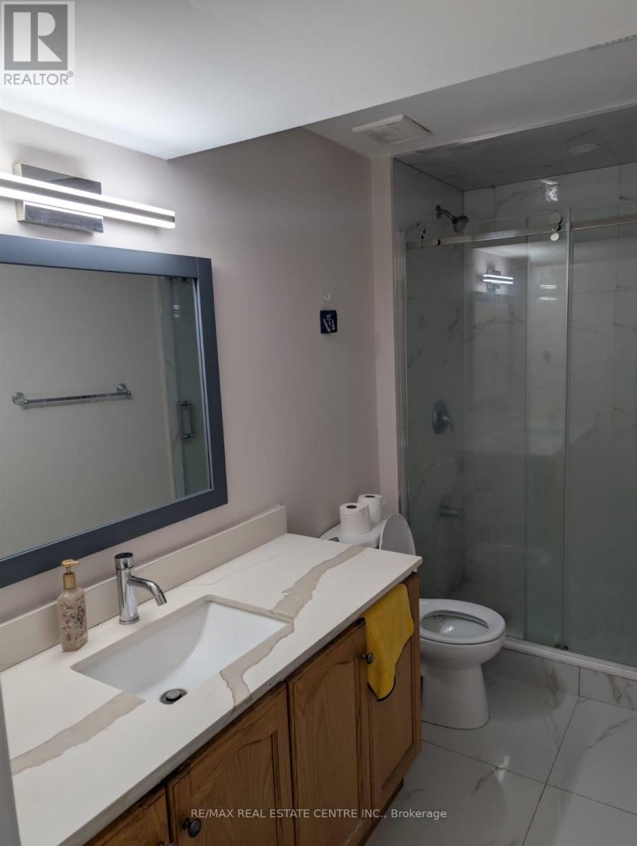 Basement Only - 6 Porchlight Road, Brampton, Ontario  L6X 4S3 - Photo 10 - W12515836