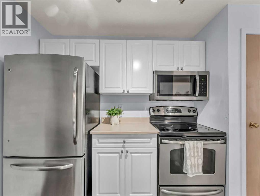 101, 245 Red Deer Drive Sw, Medicine Hat, Alberta  T1A 8P4 - Photo 14 - A2271860