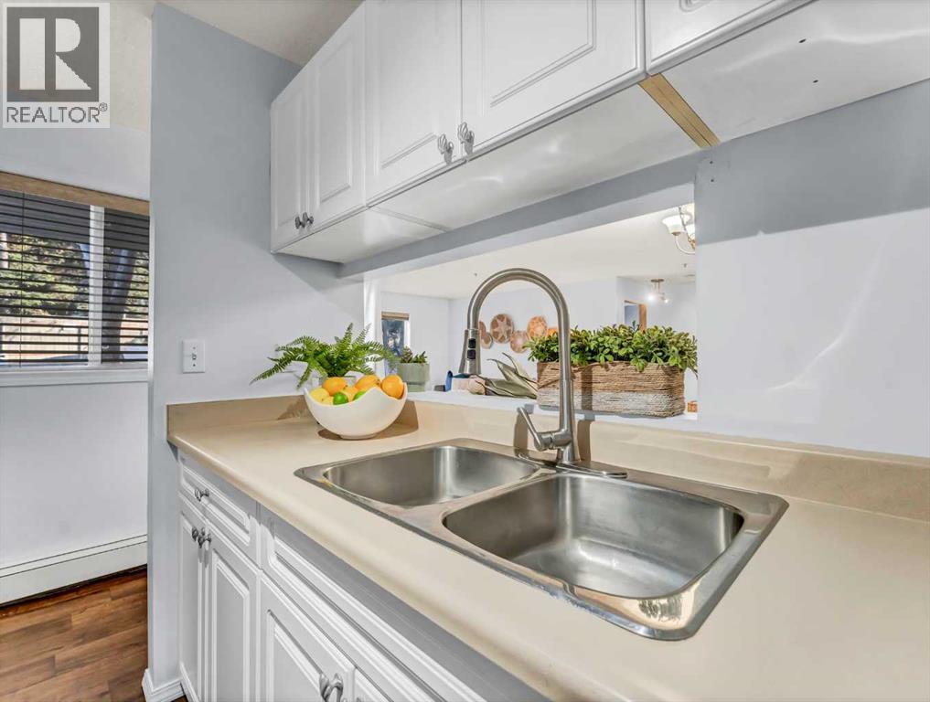 101, 245 Red Deer Drive Sw, Medicine Hat, Alberta  T1A 8P4 - Photo 17 - A2271860