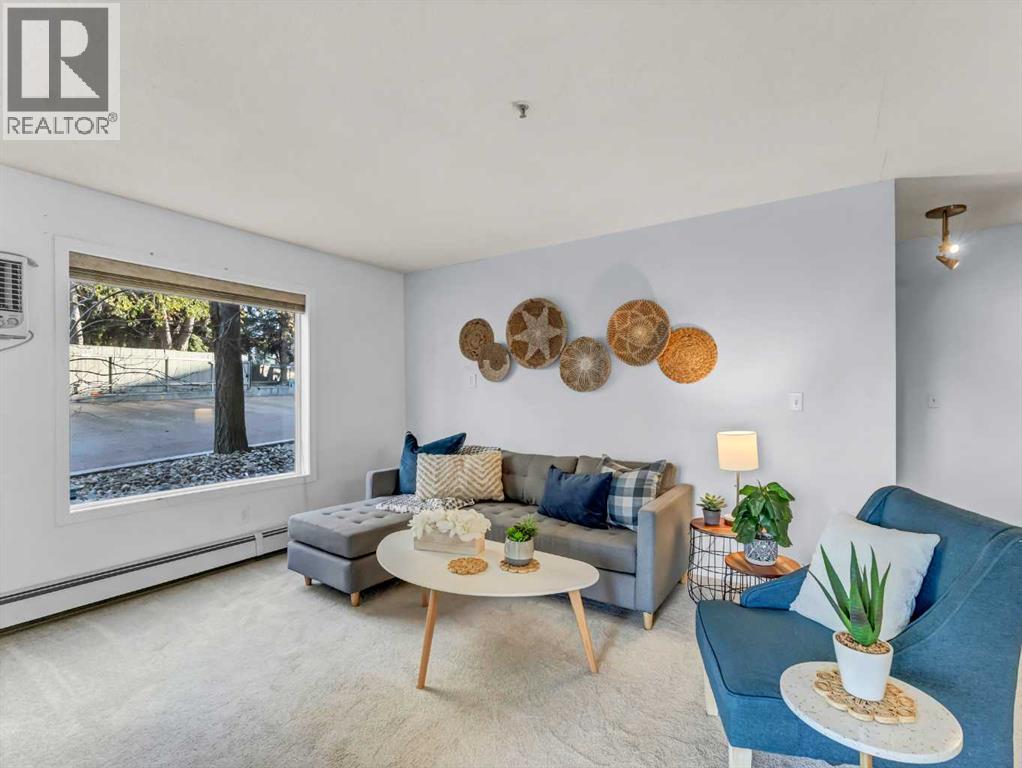 101, 245 Red Deer Drive Sw, Medicine Hat, Alberta  T1A 8P4 - Photo 19 - A2271860