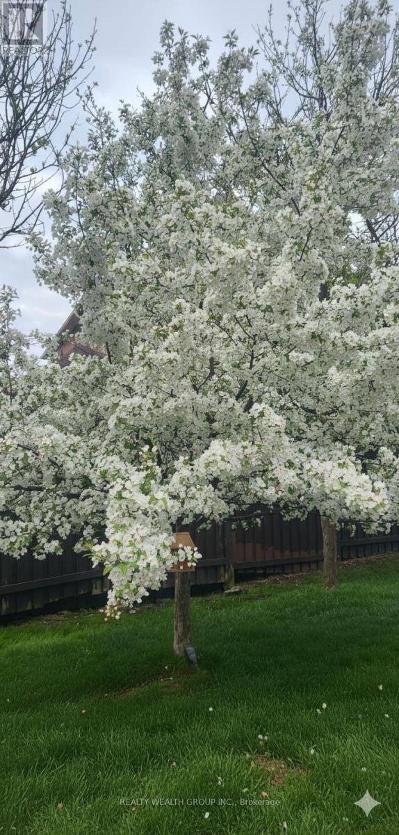 43 Catano Court, Richmond Hill, Ontario L4S 2V4 - Photo 36 - N12593076