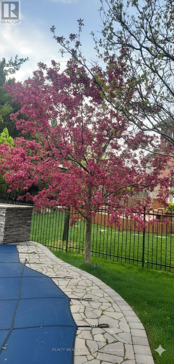 43 Catano Court, Richmond Hill, Ontario L4S 2V4 - Photo 35 - N12593076