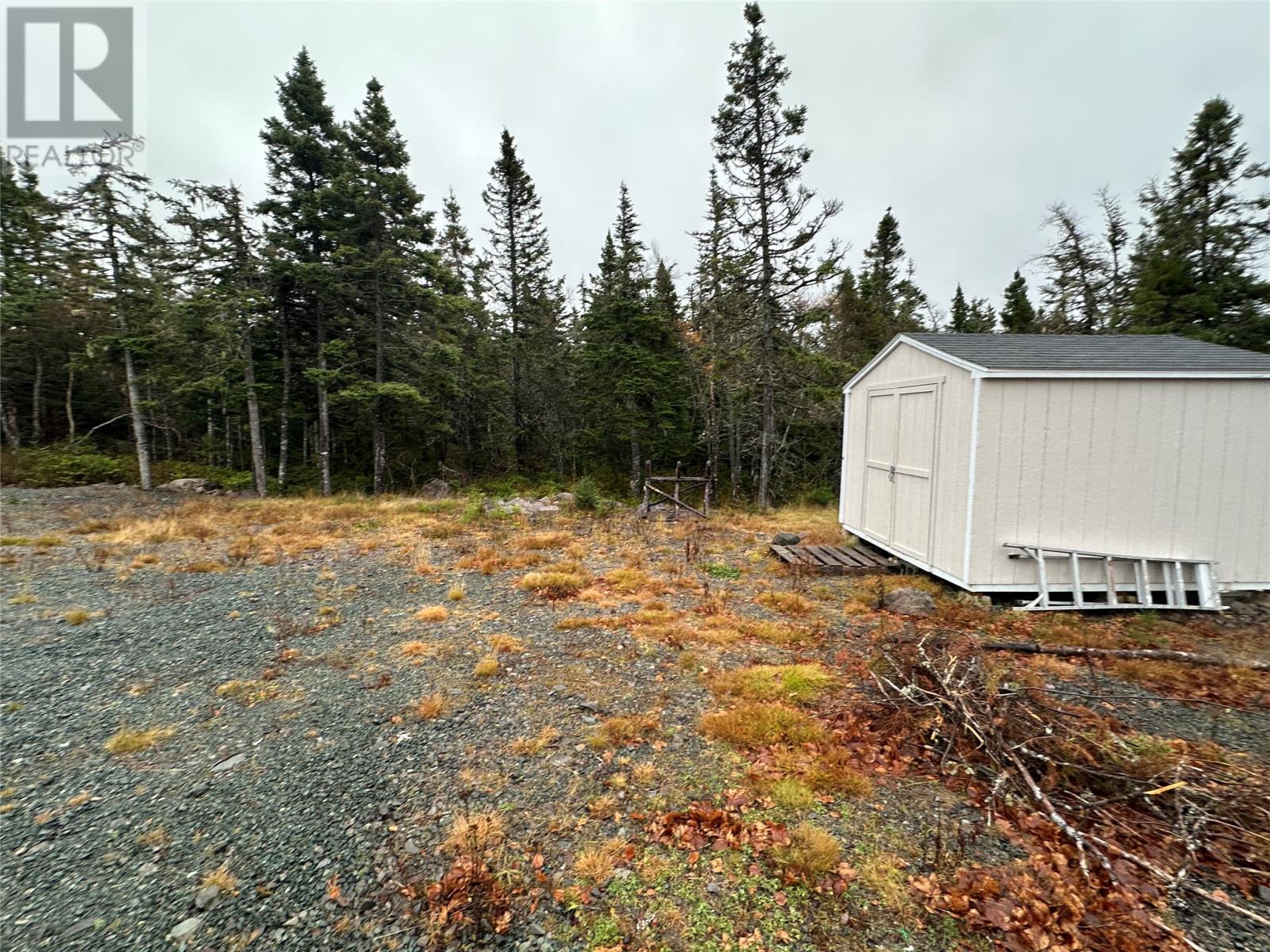 59 Barry's  Island North Road, Avondale, Newfoundland & Labrador  A0A 1B0 - Photo 10 - 1293051