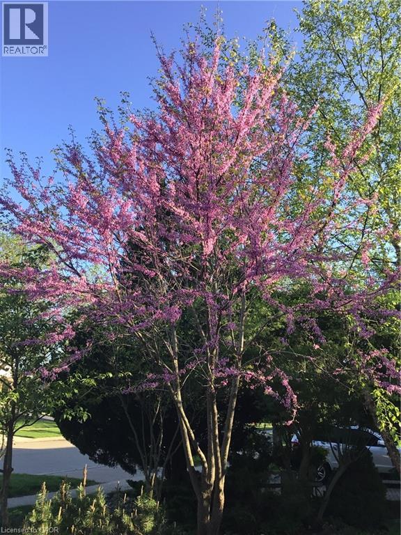 9 Smart Street, Guelph, Ontario  N1G 4L4 - Photo 44 - 40788286