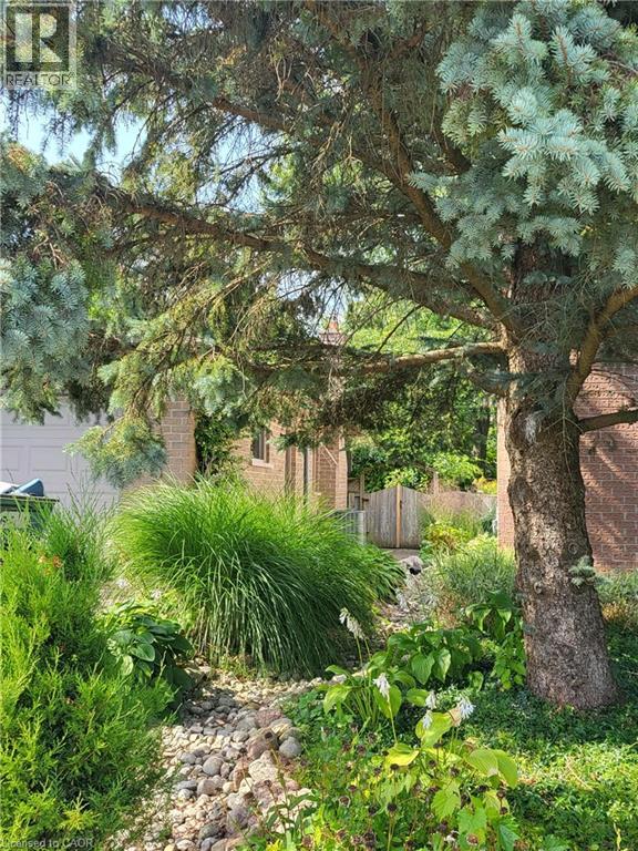 9 Smart Street, Guelph, Ontario  N1G 4L4 - Photo 47 - 40788286