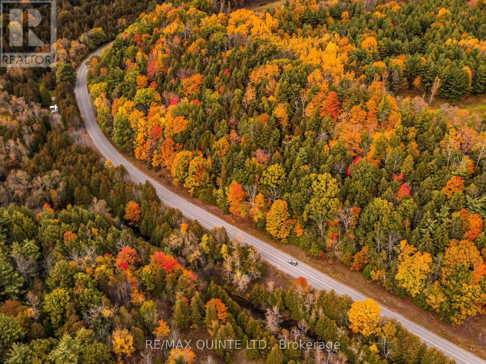 56 & 58 Marmora Street, Quinte West, Ontario  K8V 2H9 - Photo 2 - X12594782