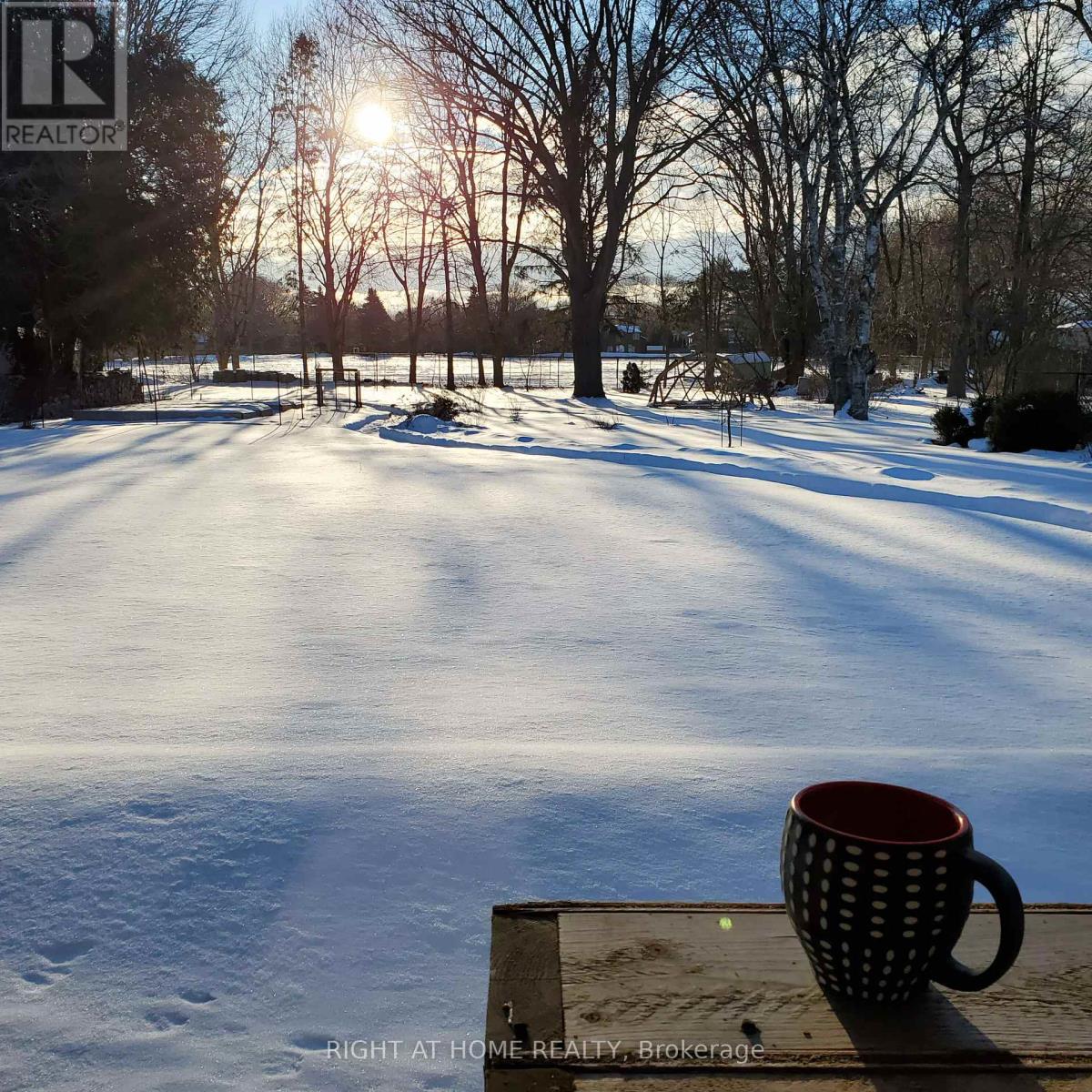 704 Cedar Avenue, Burlington, Ontario  L7T 2R7 - Photo 48 - W12594694