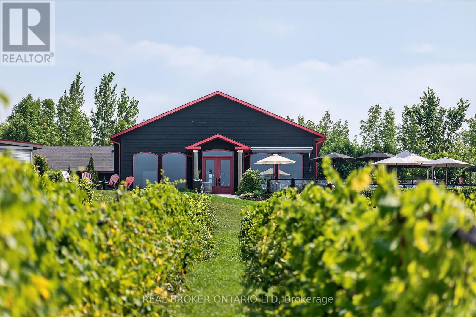 599450 2nd Concession N, Meaford, Ontario N0H 1B0 - Photo 2 - X12366332