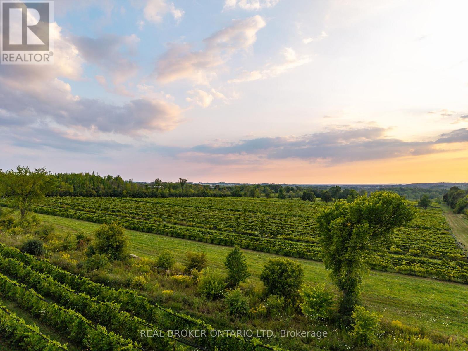 599450 2nd Concession N, Meaford, Ontario N0H 1B0 - Photo 3 - X12366332