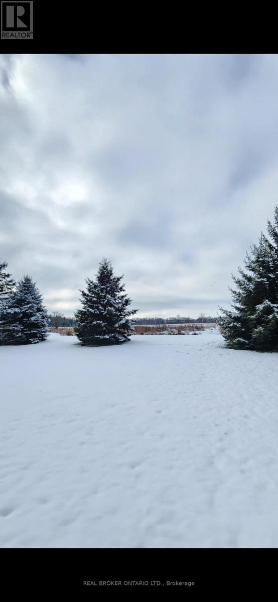 8 Maple Leaf Terrace, Innisfil, Ontario  L0L 1L0 - Photo 2 - N12527628