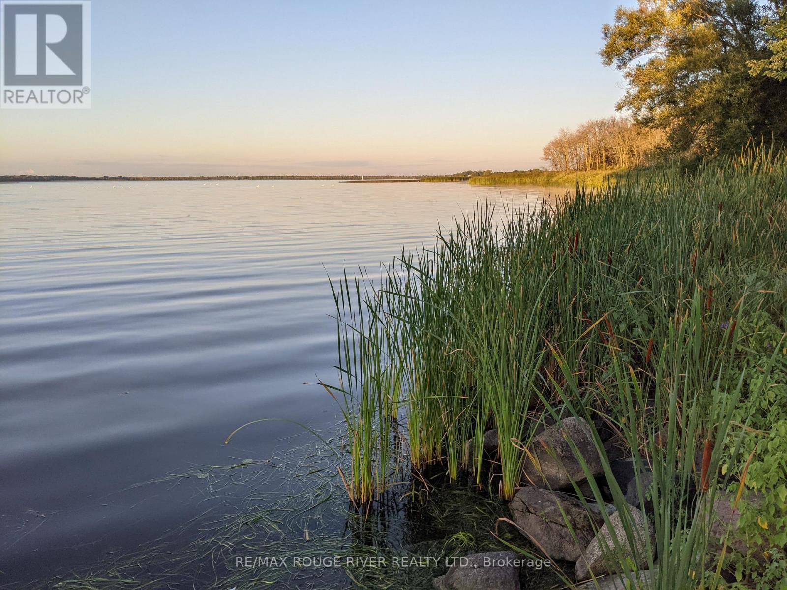 15 Martin Road, Brighton, Ontario  K0K 1H0 - Photo 42 - X12591944