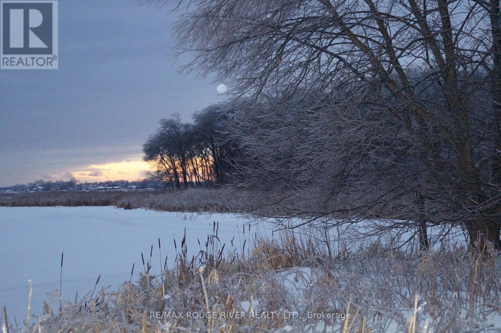 15 Martin Road, Brighton, Ontario  K0K 1H0 - Photo 44 - X12591944