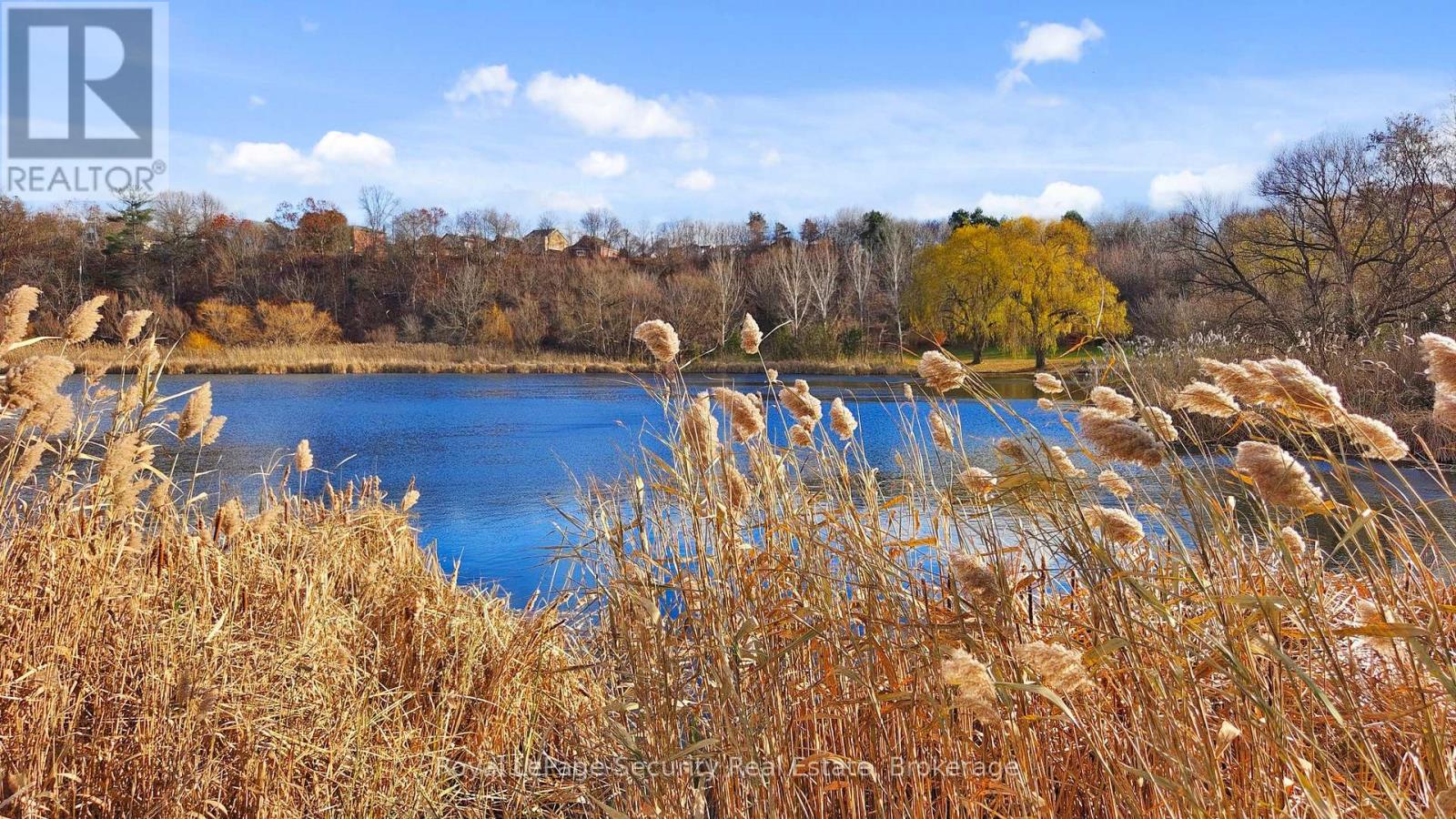 #403 - 25 Fontenay Court, Toronto, Ontario M9A 0C4 - Photo 35 - W12594790