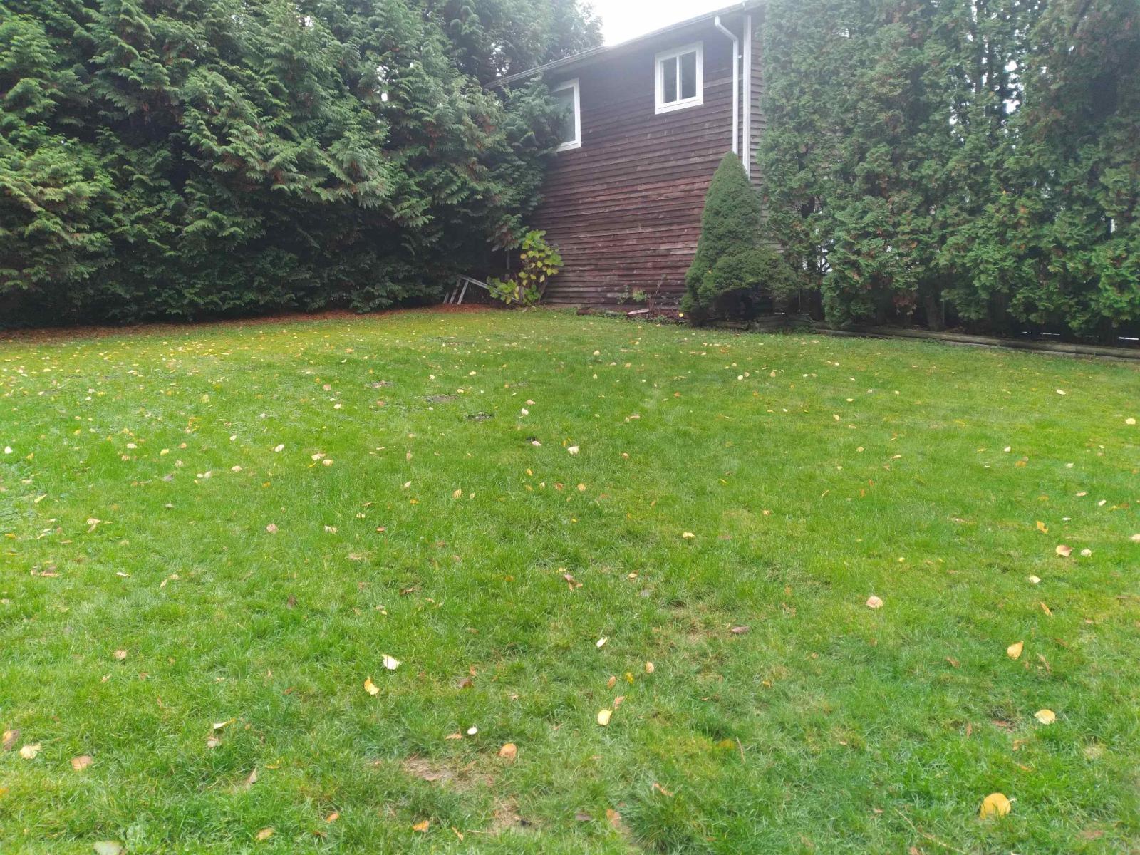 19850 48 Avenue, Langley, British Columbia  V3A 3L1 - Photo 24 - R3049740