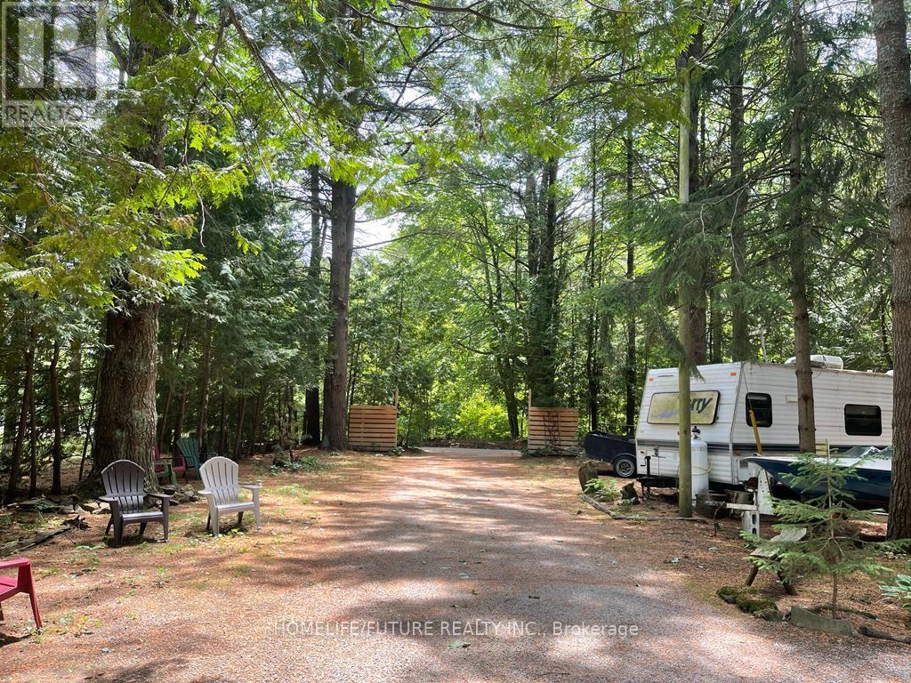 179 Stanley Road, Kawartha Lakes, Ontario  K0M 2T0 - Photo 14 - X12594874