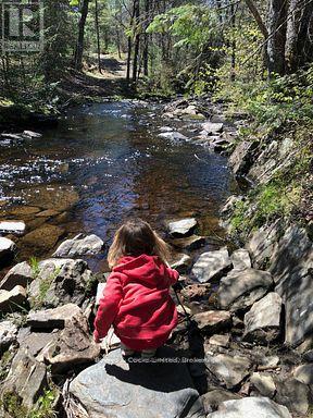 2449 The Ridge Road, Marmora And Lake (Lake Ward), Ontario  K0L 1P0 - Photo 45 - X12436607