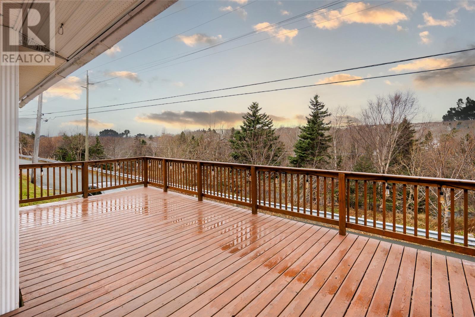 155 Hillview Drive, St Johns, Newfoundland & Labrador  A1E 1A9 - Photo 25 - 1292965