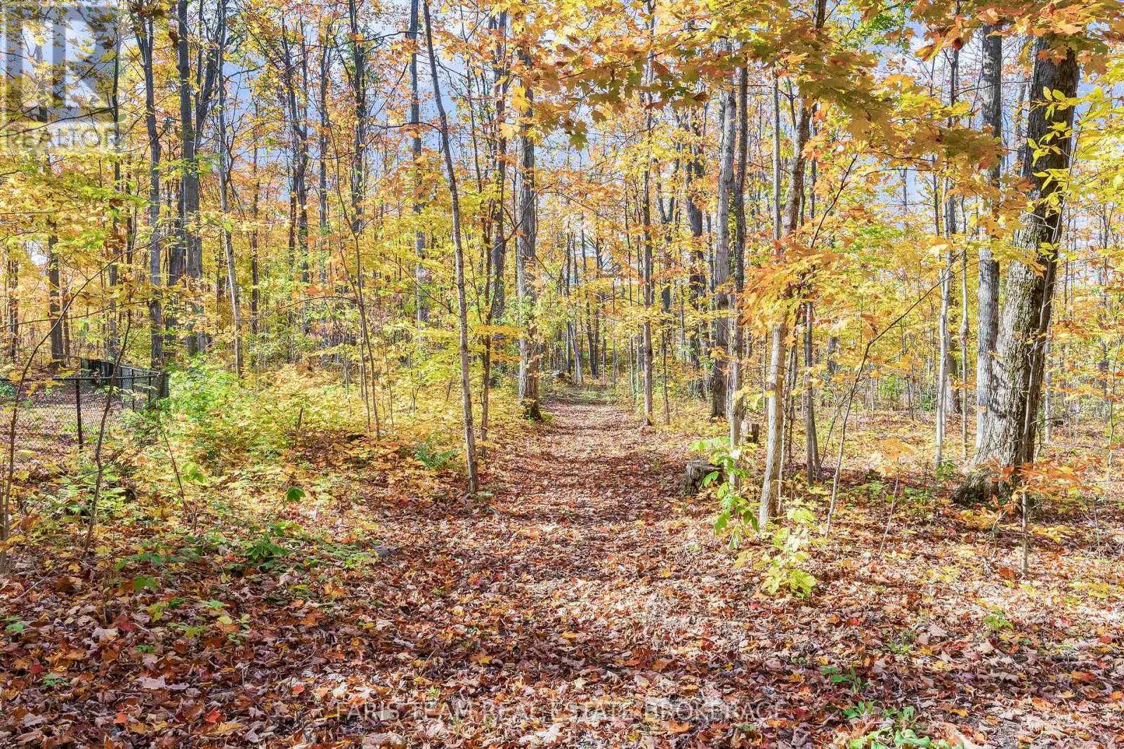 911 Bass Lake Side Road W, Oro-Medonte, Ontario  L0L 2E0 - Photo 47 - S12585774