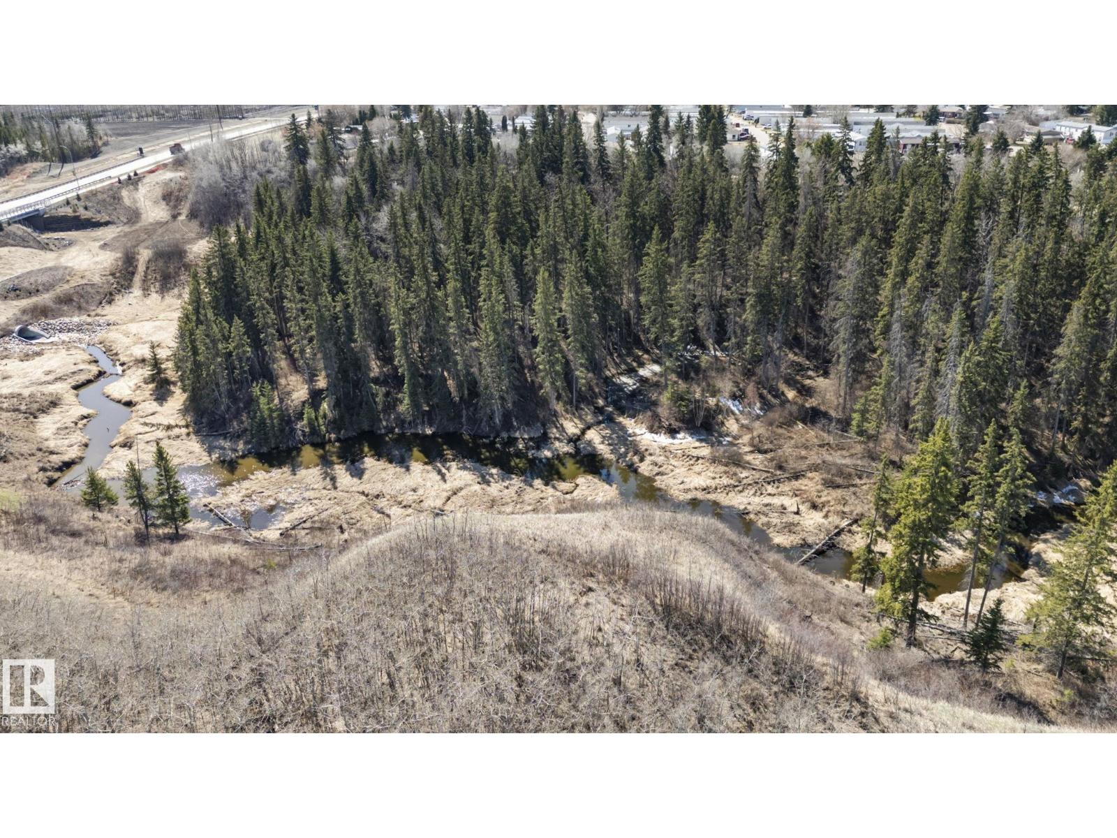 17115 3 St Nw, Edmonton, Alberta  T5Y 4G8 - Photo 7 - E4466728