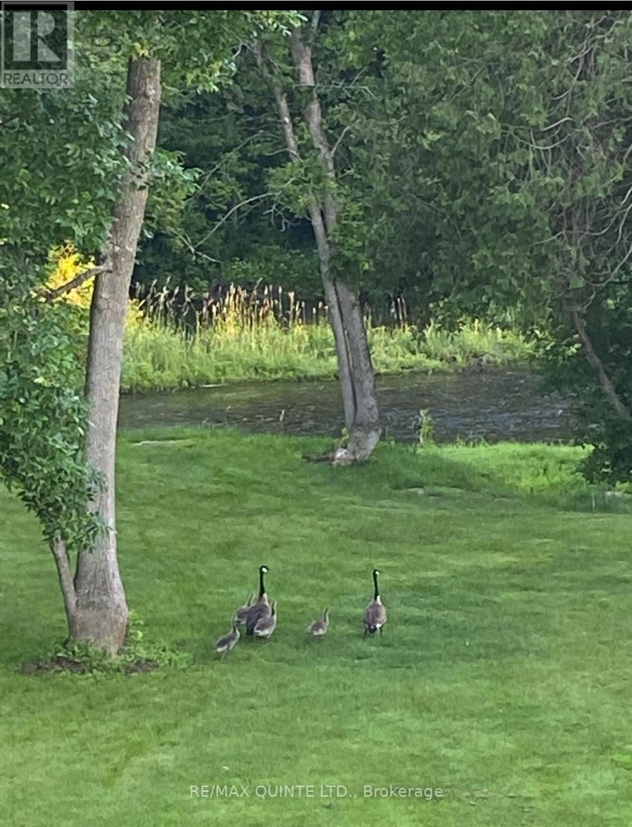 847 Thrasher Road, Belleville, Ontario  K0K 2V0 - Photo 48 - X12595162