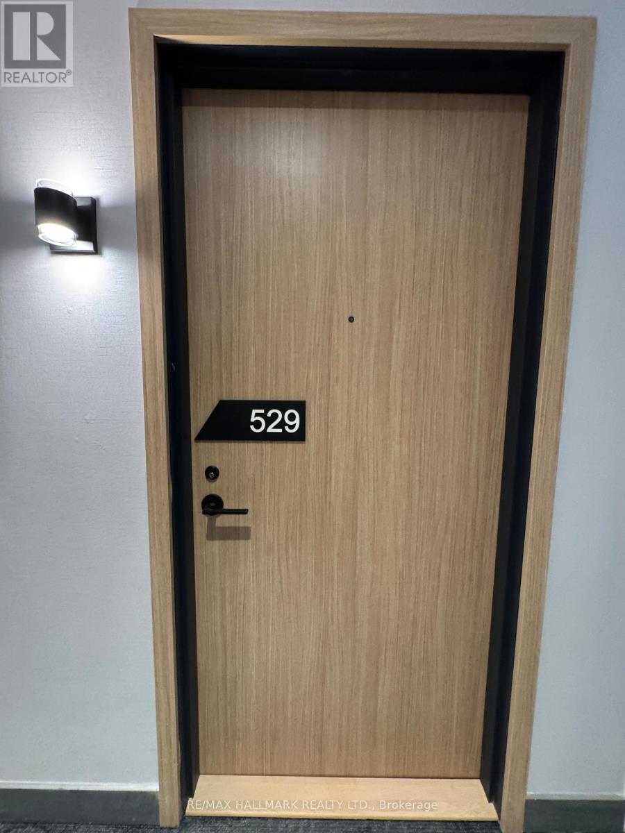 529 - 35 Parliament Street, Toronto, Ontario  M5A 0Z5 - Photo 5 - C12591684