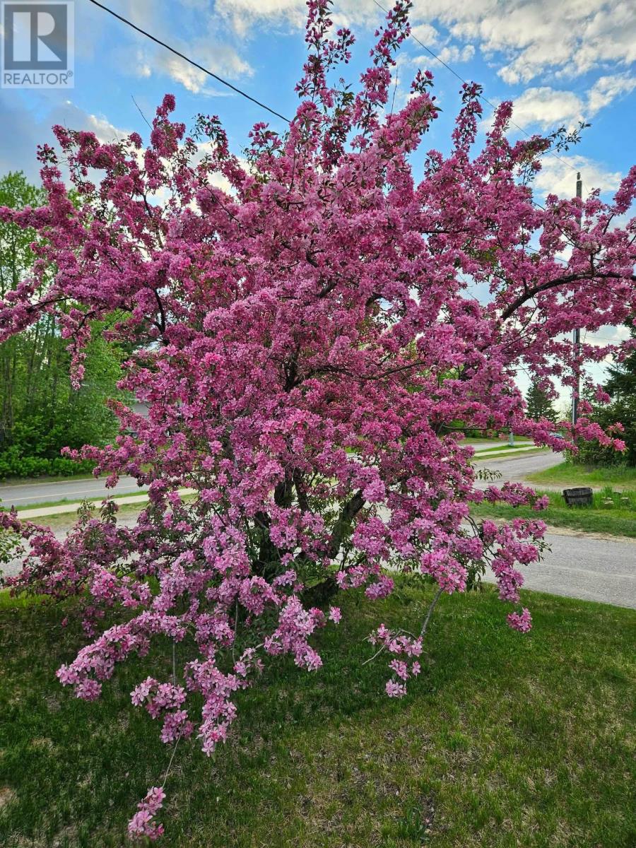 37 Second Ave N, Sioux Lookout, Ontario P8T 1H2 - Photo 21 - TB253359
