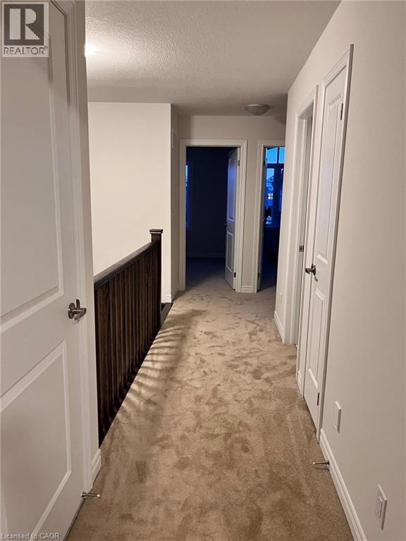 75 Gloria Street, Kitchener, Ontario  N2R 0R4 - Photo 6 - 40791760