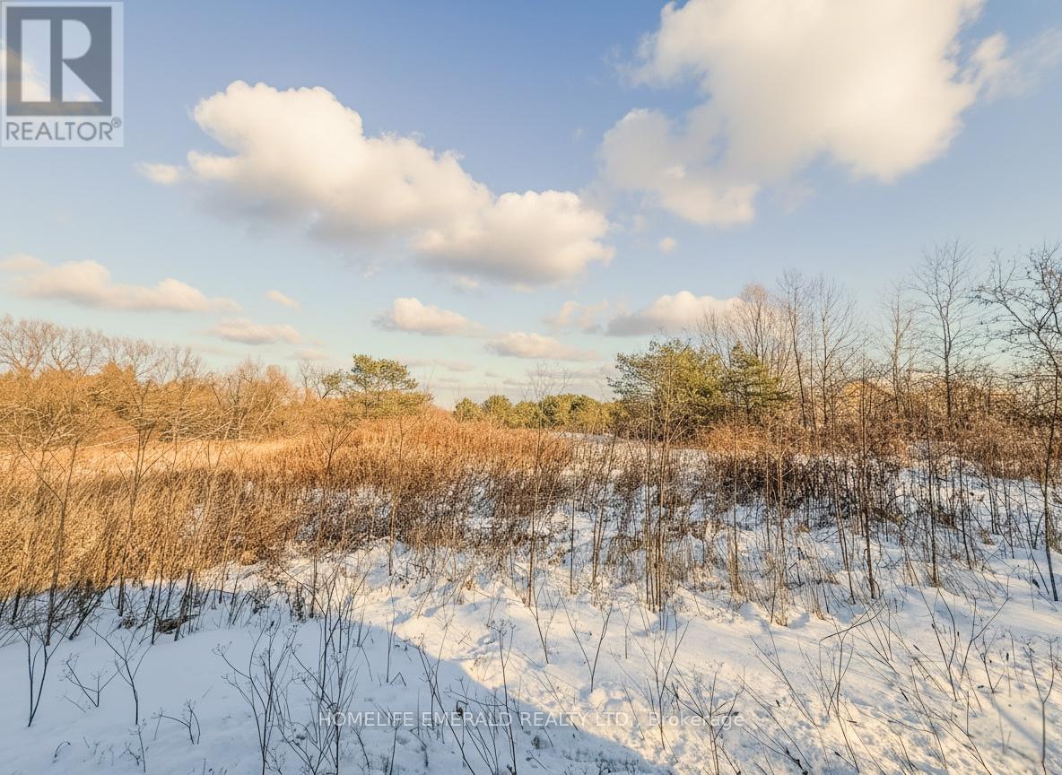 9829 10 COUNTY ROAD, Clearview, Ontario