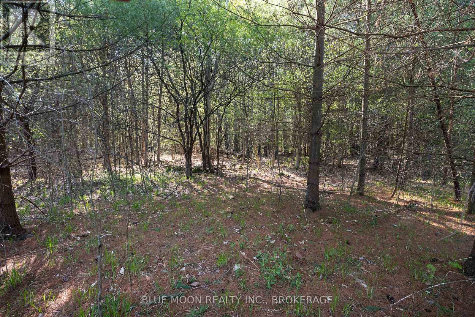 0 Fortune Line Road, Rideau Lakes, Ontario  K0E 1N0 - Photo 17 - X12595420