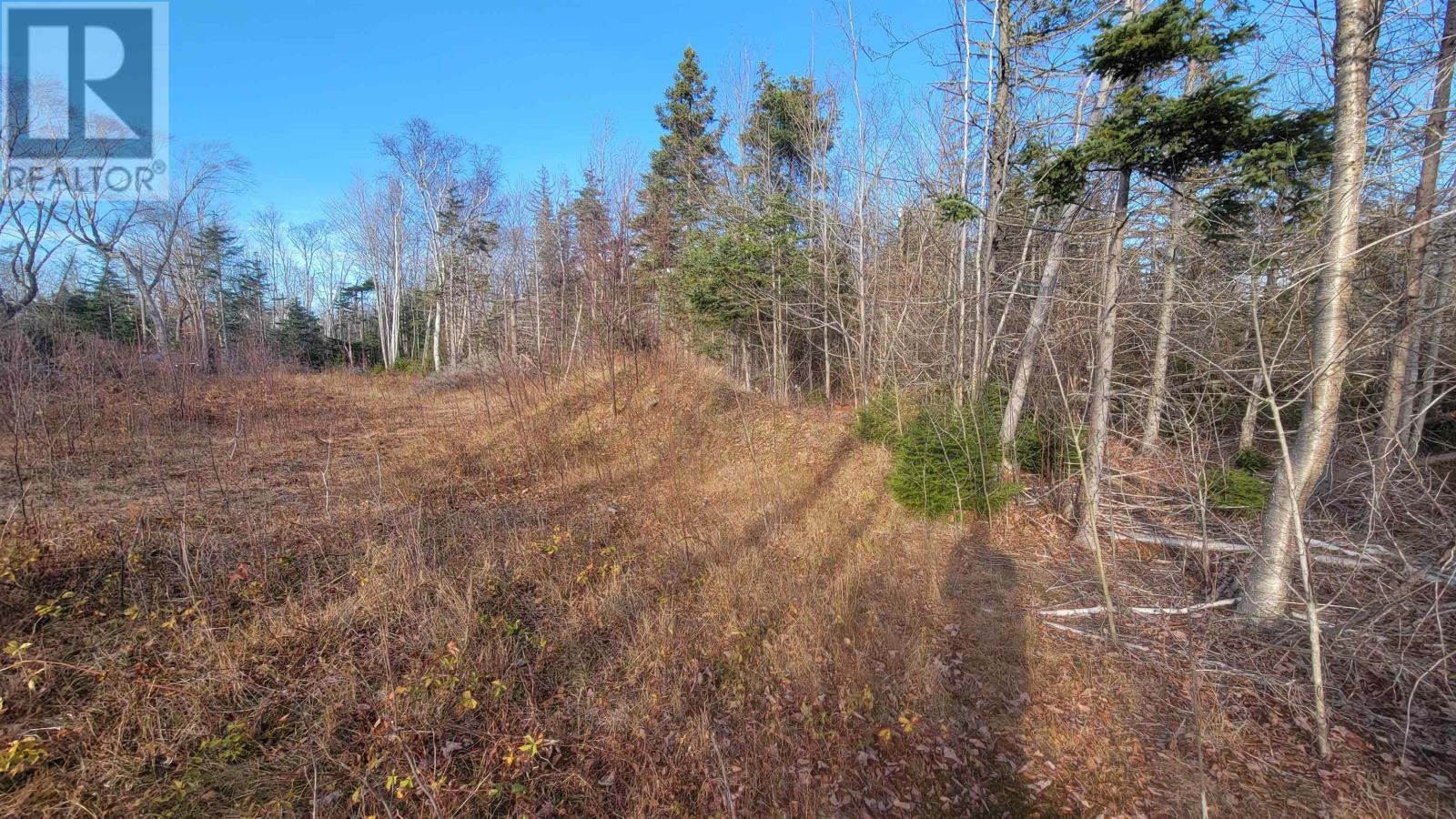 46 Teddy Lane, Pleasant Grove, Prince Edward Island  C0A 1P0 - Photo 2 - 202528948