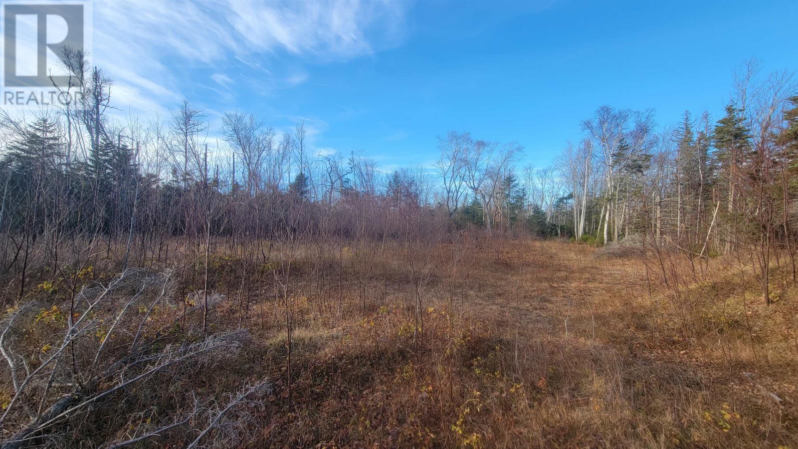 46 Teddy Lane, Pleasant Grove, Prince Edward Island  C0A 1P0 - Photo 3 - 202528948