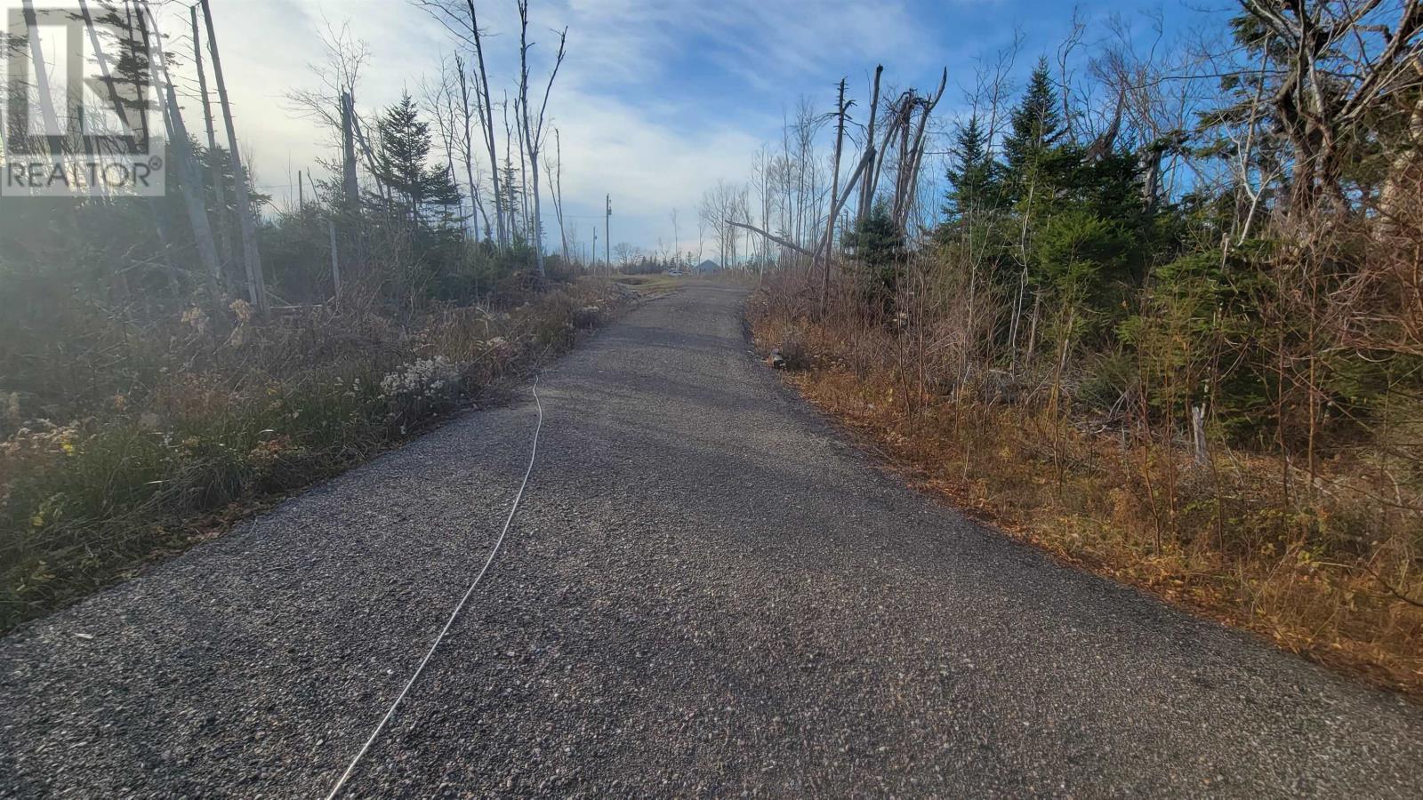 46 Teddy Lane, Pleasant Grove, Prince Edward Island  C0A 1P0 - Photo 4 - 202528948