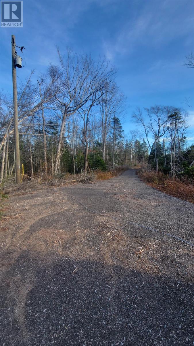 46 Teddy Lane, Pleasant Grove, Prince Edward Island  C0A 1P0 - Photo 5 - 202528948