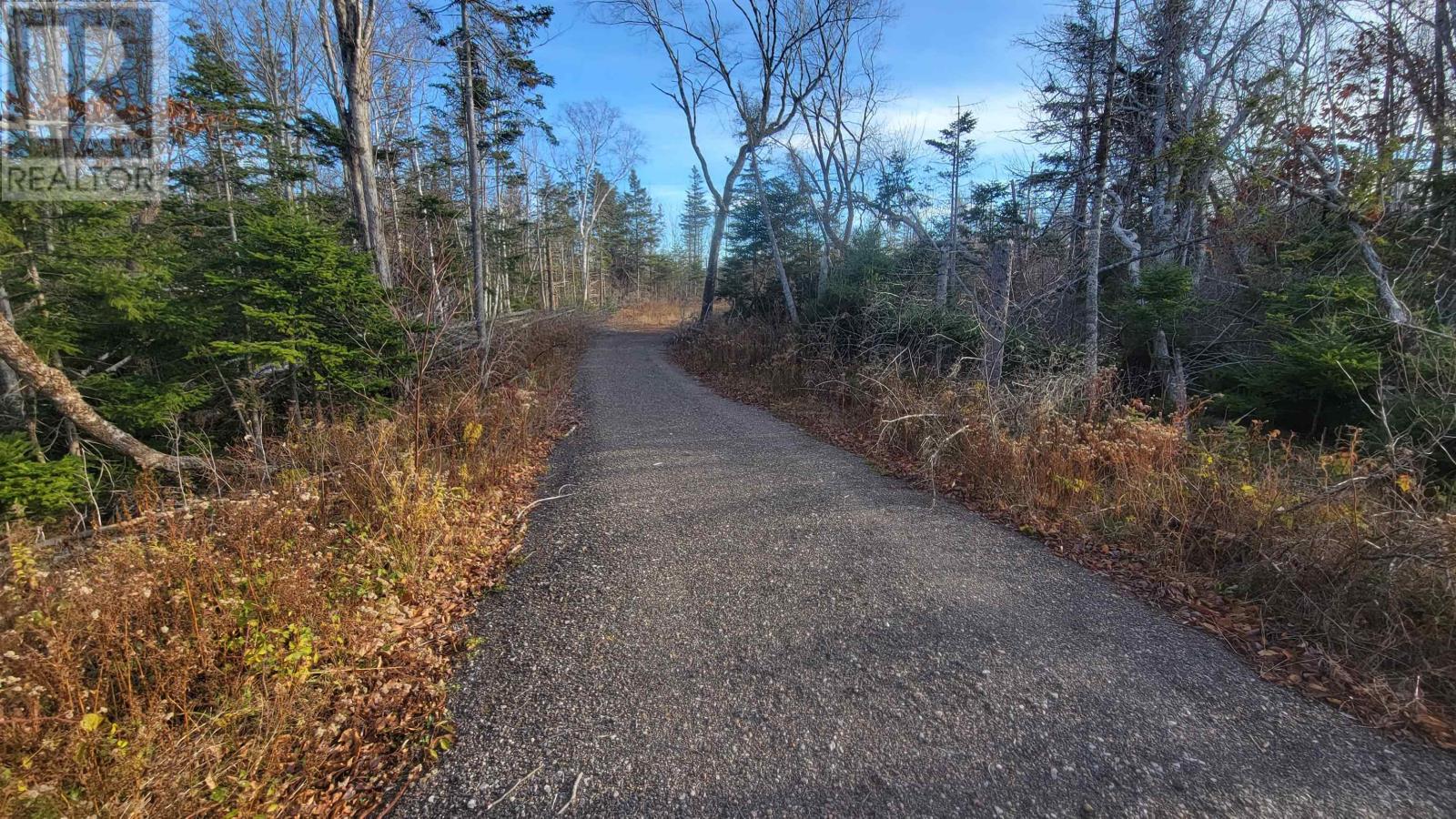 46 Teddy Lane, Pleasant Grove, Prince Edward Island  C0A 1P0 - Photo 6 - 202528948